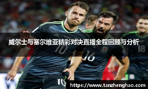 EBET易博威尔士与塞尔维亚精彩对决直播全程回顾与分析